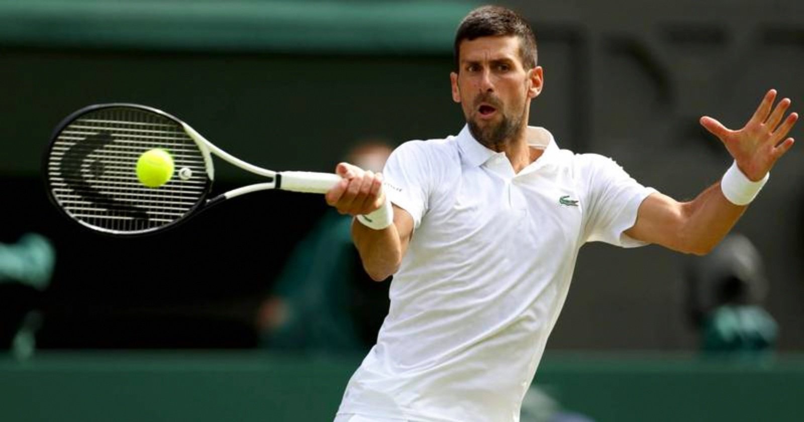 ATP总决赛碾压美网，德约科维奇点燃赛场